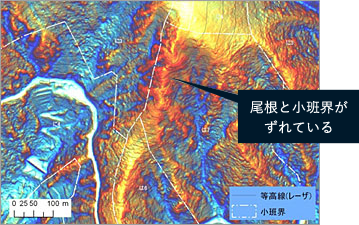 境界確定