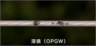 溶損（OPGW）